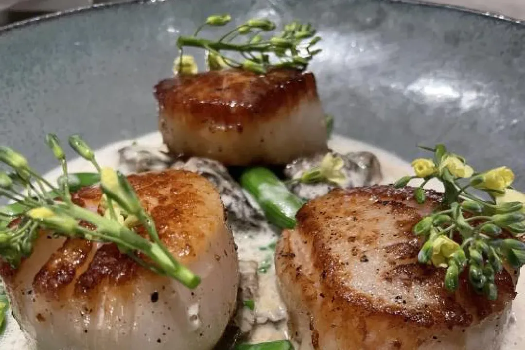 food-jpg-e1694683242816.webp